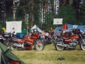 1986-06-Midsommar-Skattungbyn-42