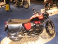 Triumph_modell_blommig_