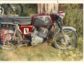 puch_power