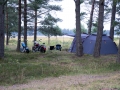 Stenotraffen_0061