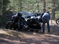 Stenotraffen_0019