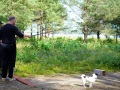 Stenotraffen_0043
