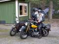 Stenotraffen_0038