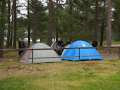 Stenotraffen_0050