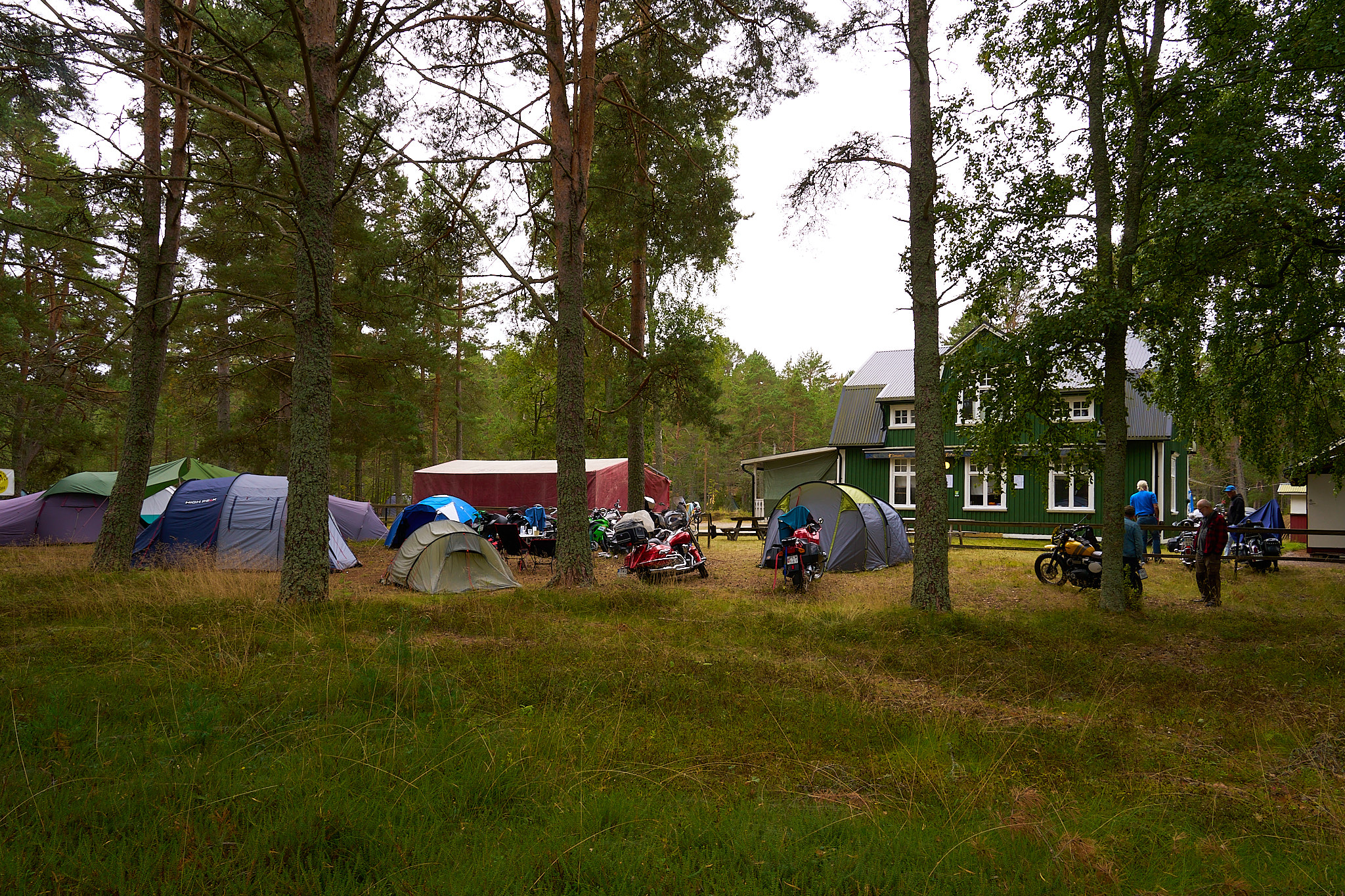 Stenotraffen_0010