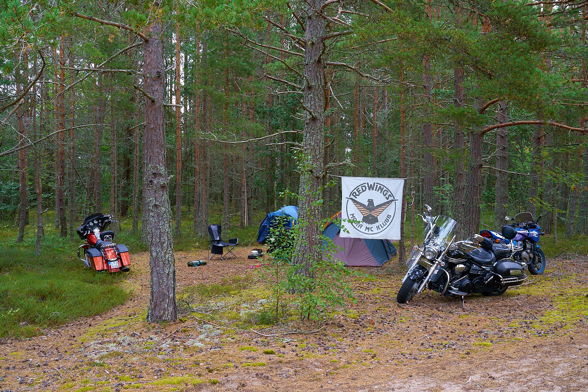 Stenotraffen_0013