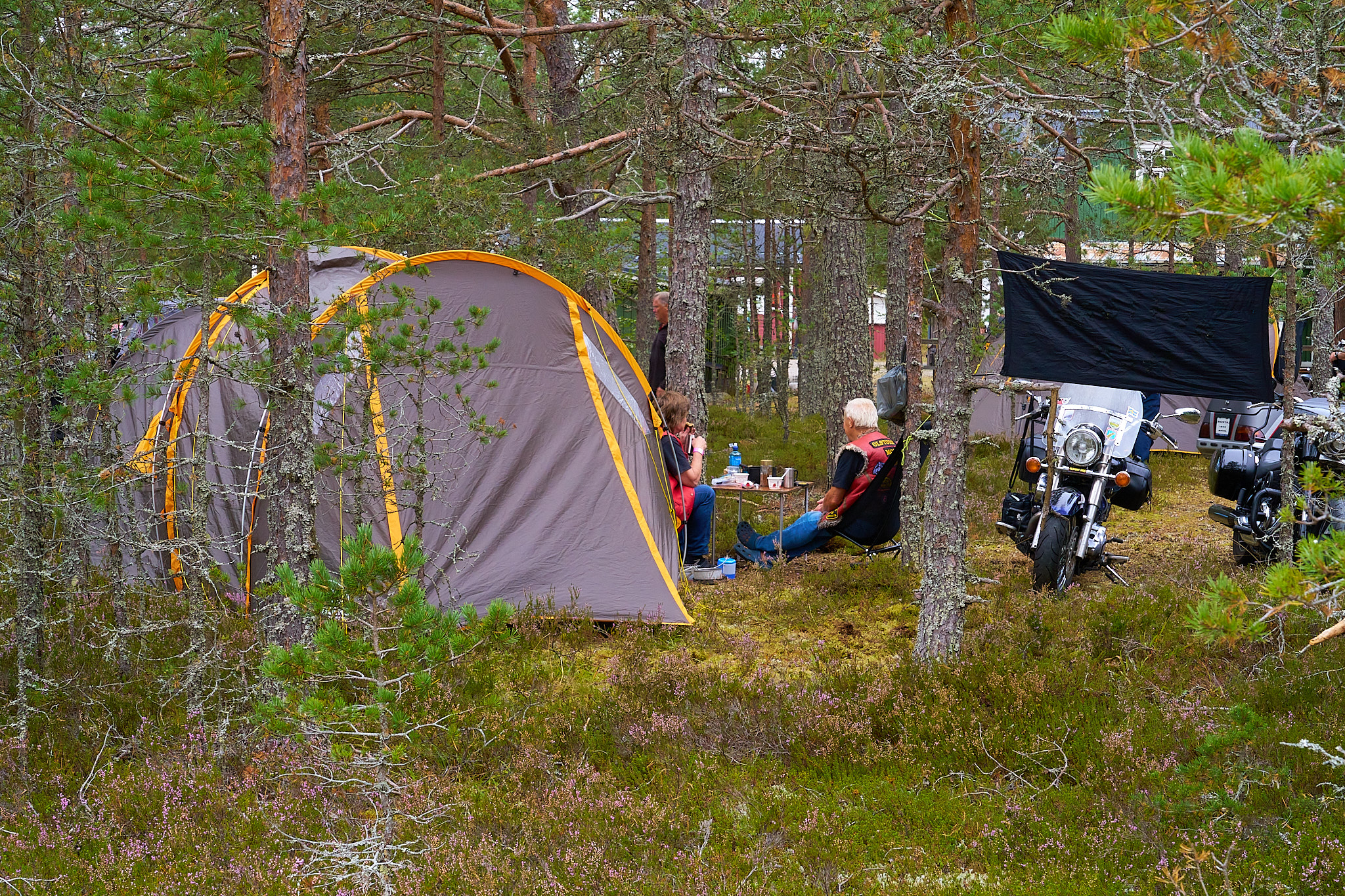 Stenotraffen_0014