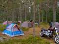 Stenotraffen_0016