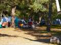 Stenotraffen_0041